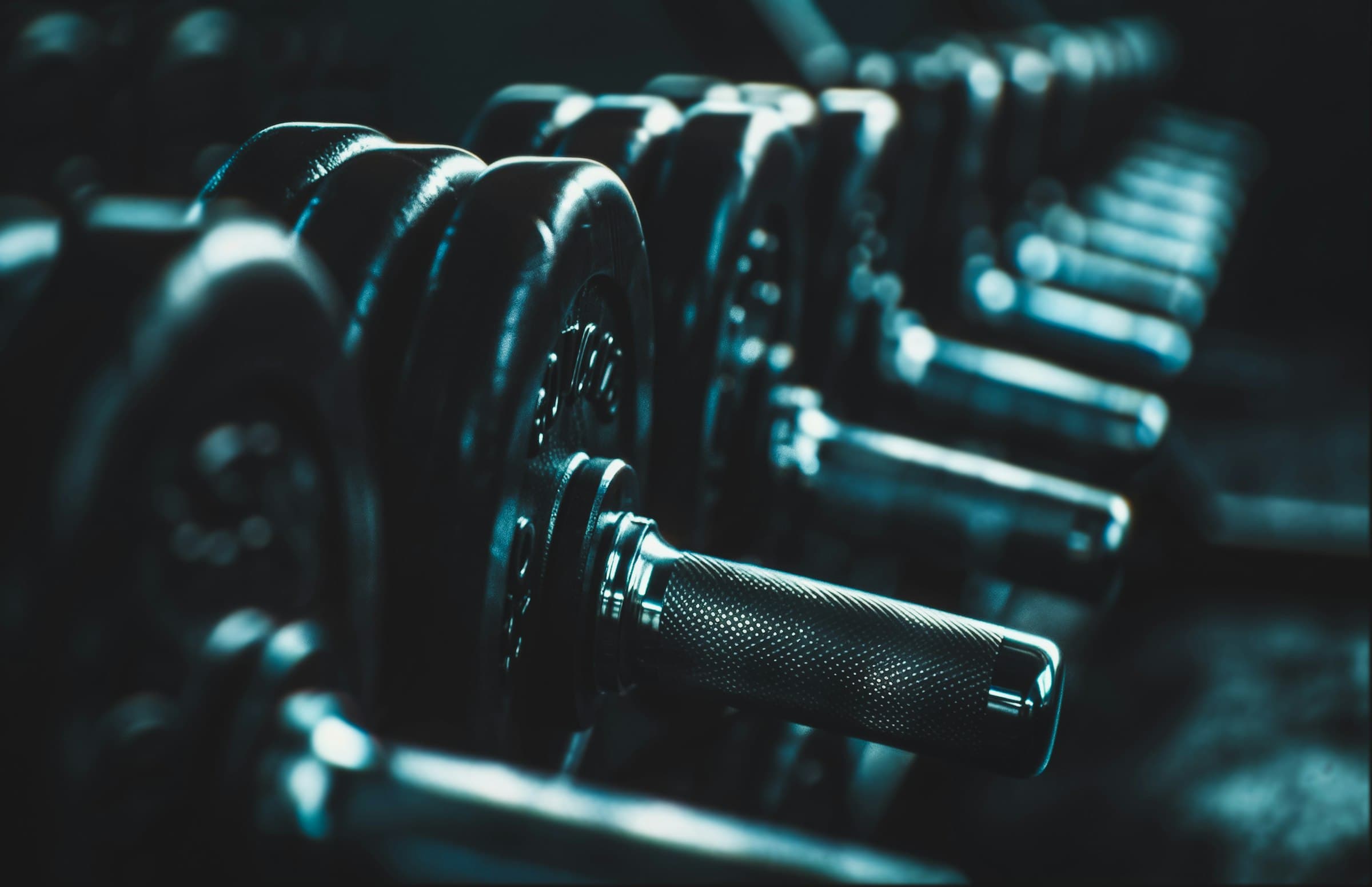 A long row of dumbbells on a rack